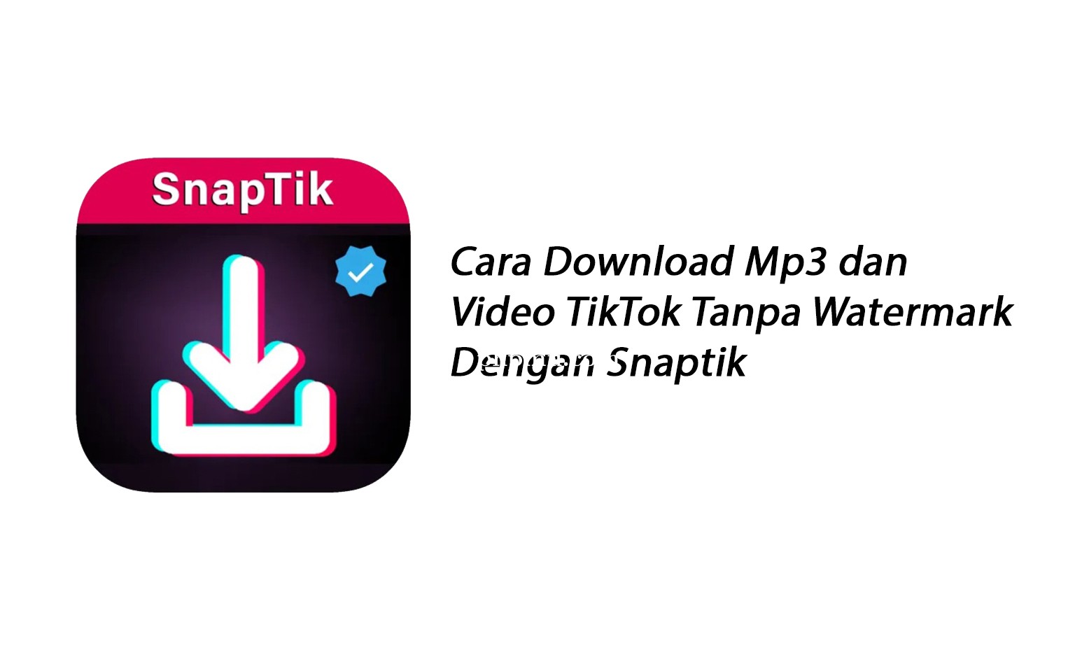Tips Simpan Video TikTok Pribadi Tanpa Terdeteksi Pakai SnapTik