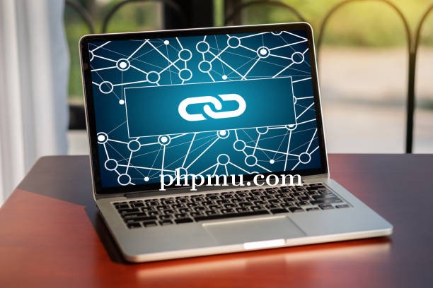 Fungsi Backlink dalam SEO yang Sering Diabaikan Pemula
